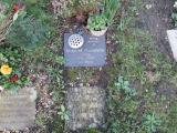 image of grave number 384533